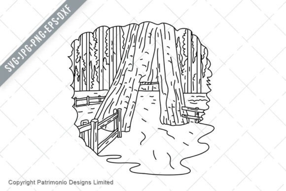 Download California Tunnel Tree in Mariposa Grove - Tunnel Collection